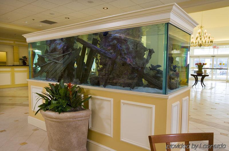 Hilton Garden Inn Outer Banks/Kitty Hawk Wnętrze zdjęcie
